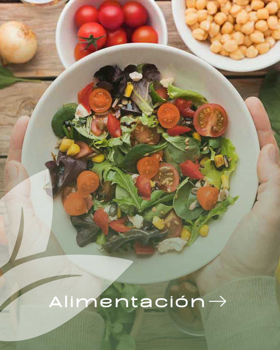 ALIMENTACIÓN