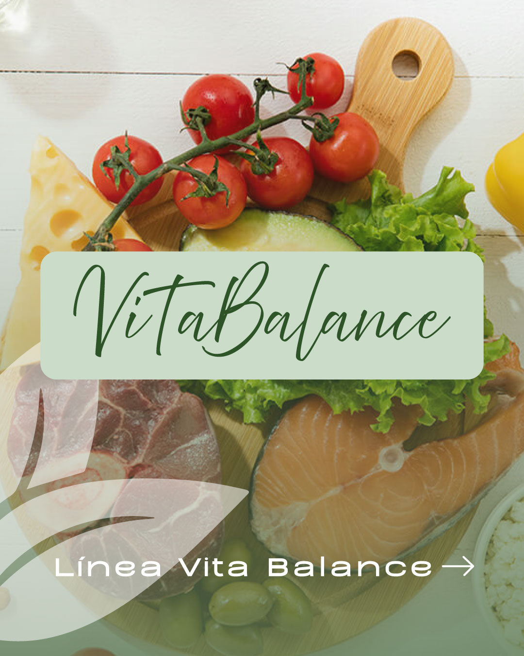 LÍNEA VITA BALANCE
